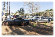 thumbs/20180303_CorvetteCars&Coffee_030-2.jpg