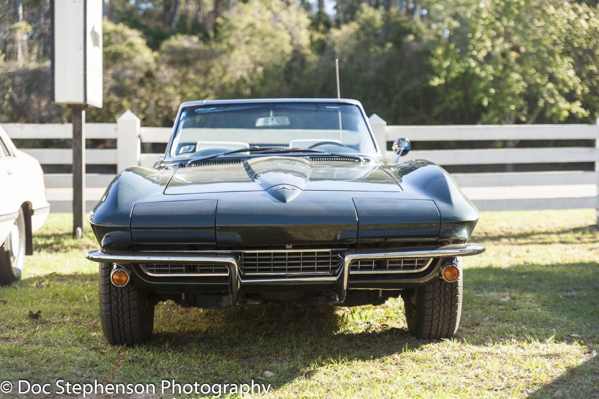 thumbs/20180303_CorvetteCars&Coffee_007.jpg